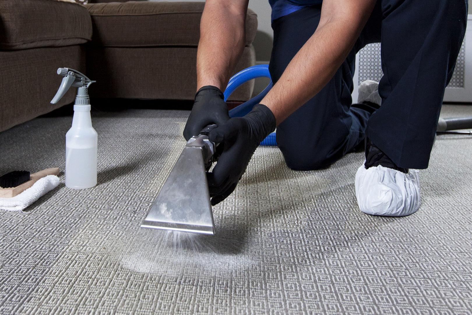 чистка домашнего или офисного ковролина